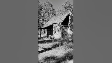 Thumbnail of Toby Keith - Don't Let The Old Man In
