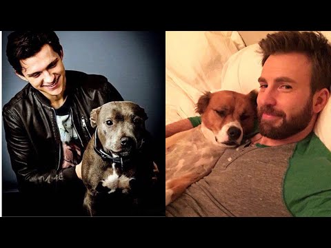 Video: Hvilke kjendiser har hunder?