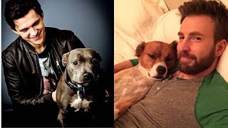 Celebrities With Their Dogs - Celebrities & Their Pets