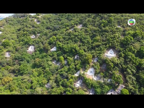 東張西望｜青衣｜非法擴建墳場山｜ 墳墓遍山居民憂｜過度開墾冧山泥