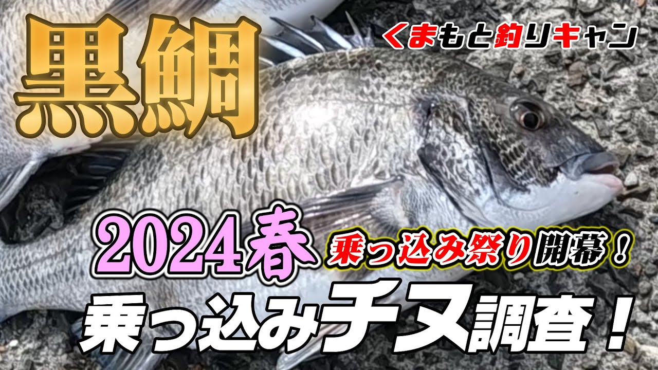 【上天草串漁港・樋島のチヌ黒鯛釣り】チヌの一大イベント乗っ込みシーズン突入！乗っ込み調査をしたらお祭り会場に当たったようだ！#熊本釣り #上天草釣り #チヌ釣り