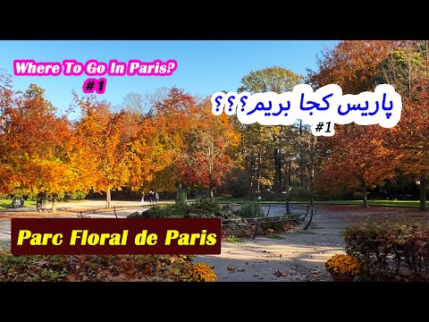 تصویری: Jardin des Plantes پاریس: راهنمای کامل