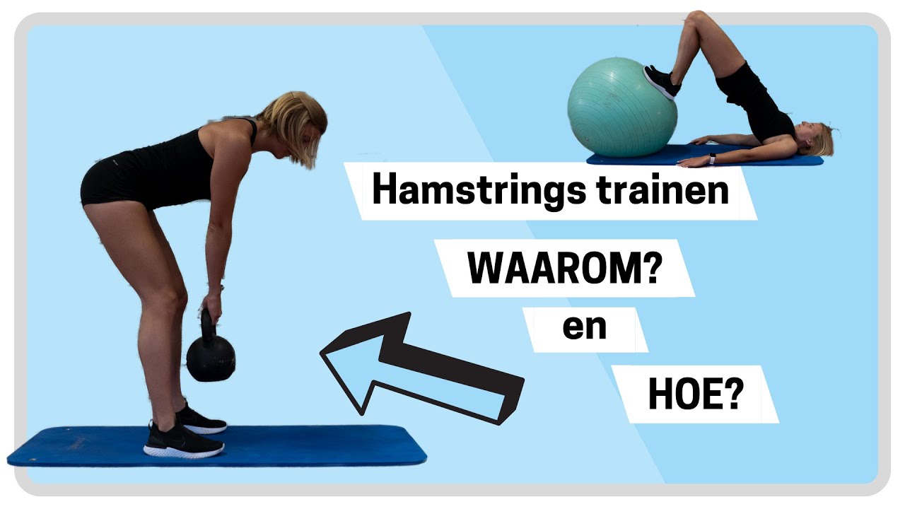 Afsnijden Abnormaal Haat Hamstring oefeningen voor thuis - van beginner tot gevorderd 📈 - YouTube