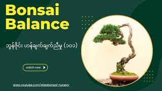 ဘွန်ဇိုင်းမှာ Balance (ဟန်ချက်) ဘာကြောင့် လိုအပ်တာလဲ? မလိုက်နာရင် ဘာဖြစ်မလဲ?
