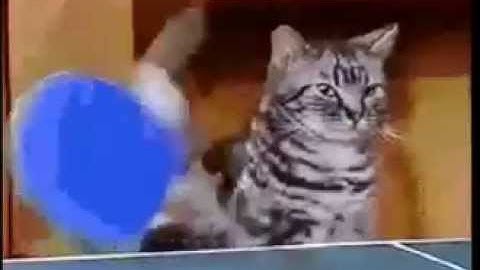 TWO PLAYER PING-PONG ON TM4C??? (319K Project)