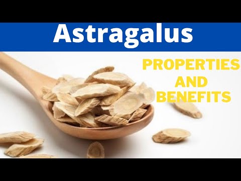 Astragalus, properties and benefits