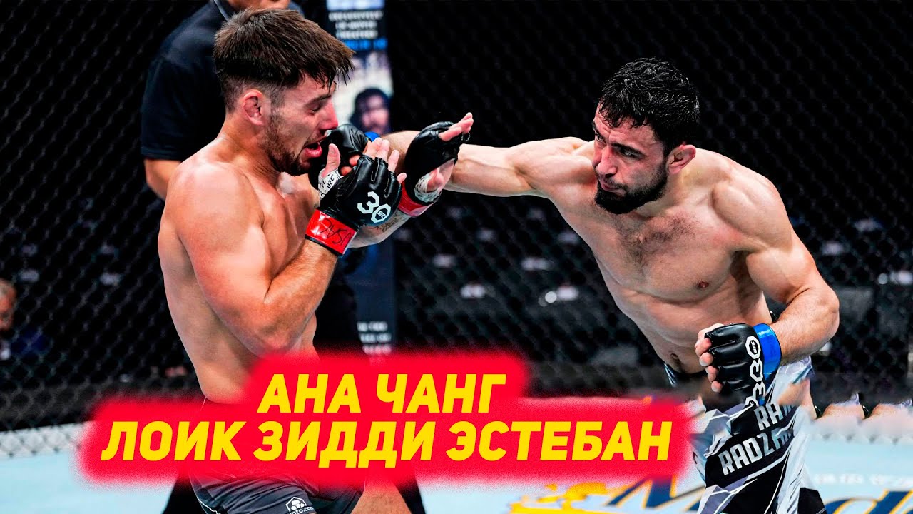 Ufc прямой эфир лоик раджабов. Лоик Раджабов UFC. Лоик Раджабов бой в юфс. Наимов UFC. Бой Лоик Раджабов прямой эфир.