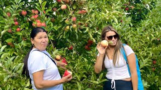 Apple 🍎 picking and Hiking at Riamede Farm Orchard New Jersey 2021