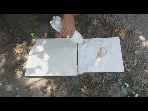 Πως να εξοντώσουμε τα μυρμήγκια How to kill ants