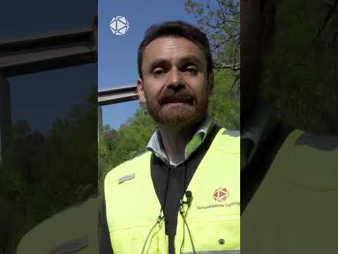 Video: Viaduct è un ponte dal design speciale
