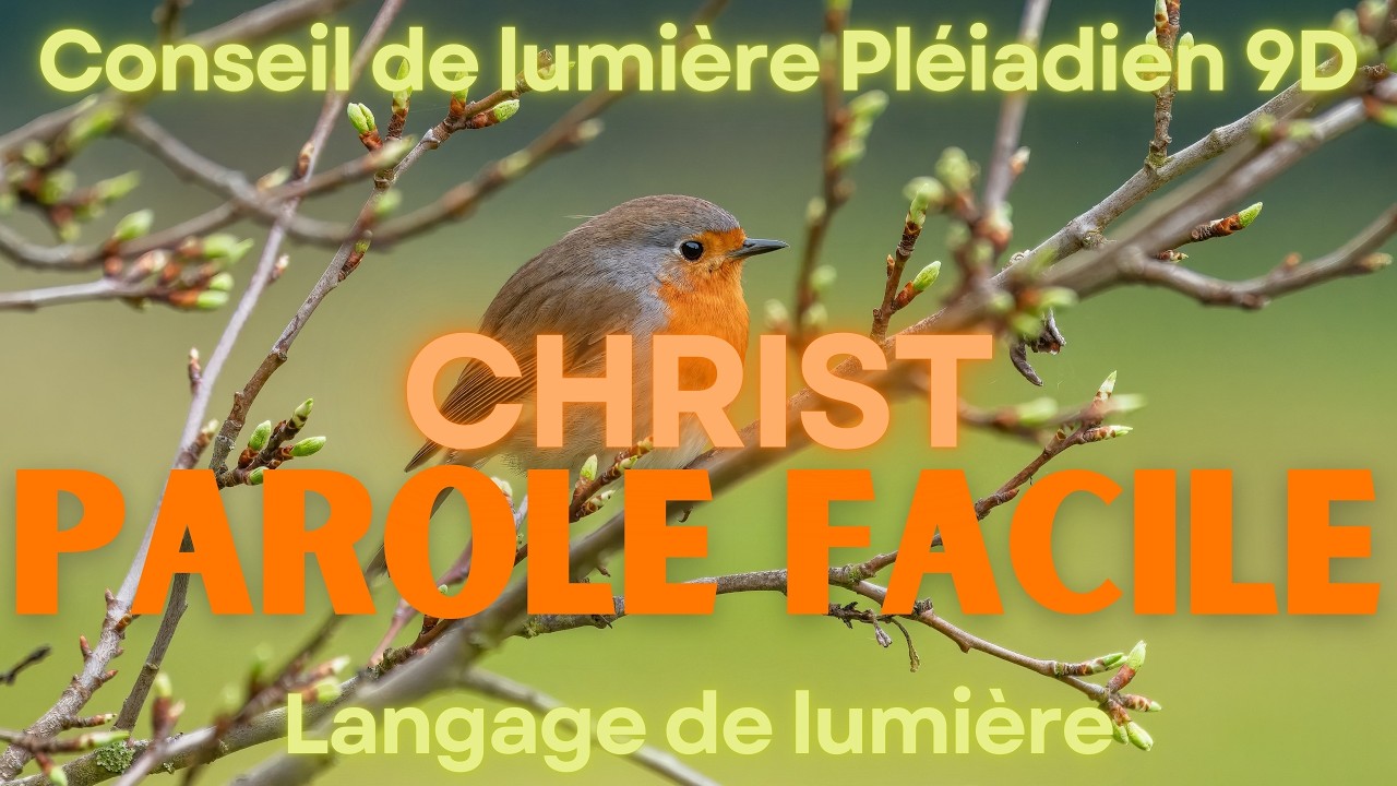 Parole facile I CHRIST I Conseil de Lumière Pléiadien 9D l Langage de lumière l Activation d'ADN