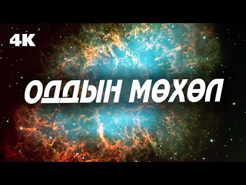 Видео: Оддыг гаригуудаас хэрхэн ялгах вэ