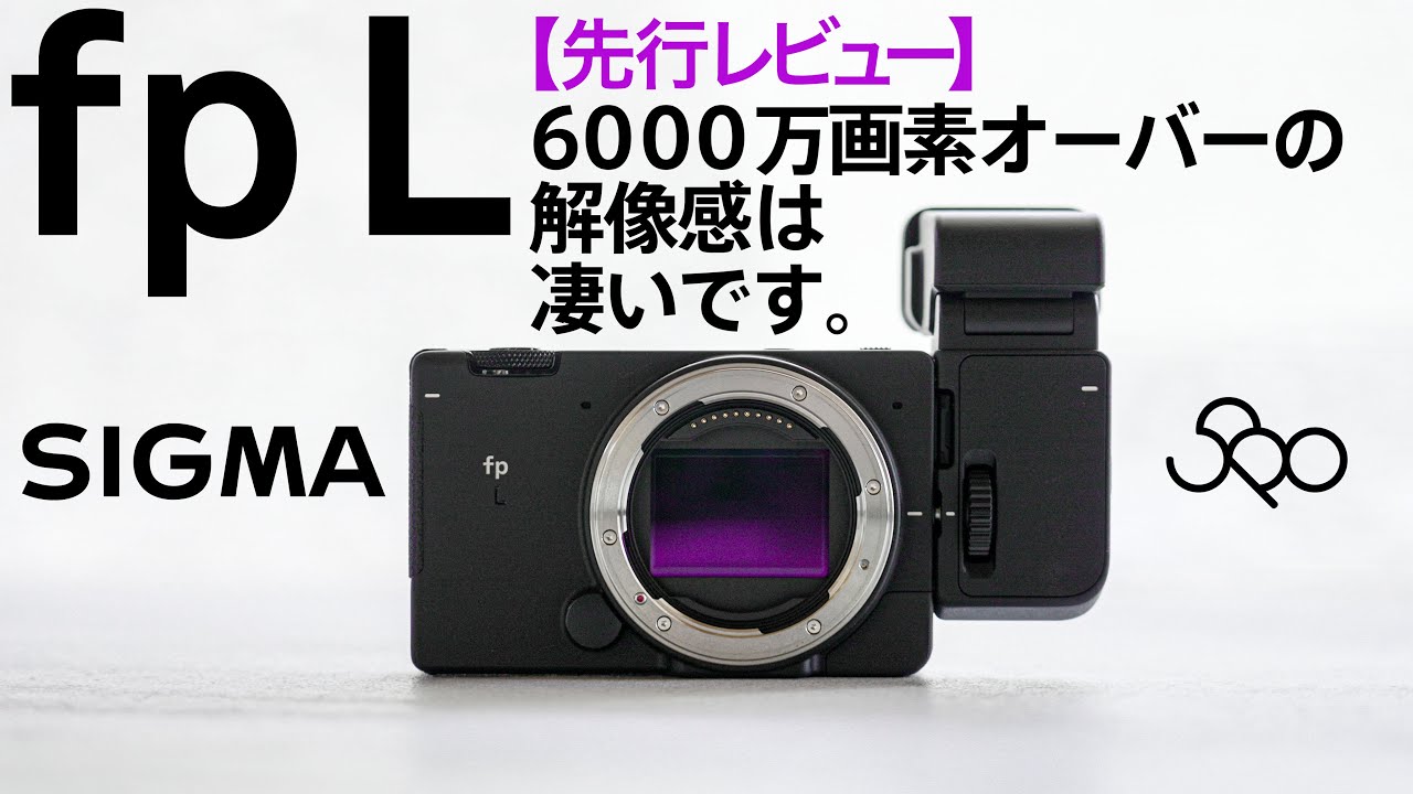 SIGMA fp L 動画と写真のレビューEVF-11の使用感 Shot on SIGMA fp L&EVF-11 Review