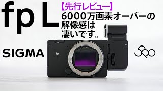 SIGMA fp L Video and Photo Review EVF-11 User Experience Shot on