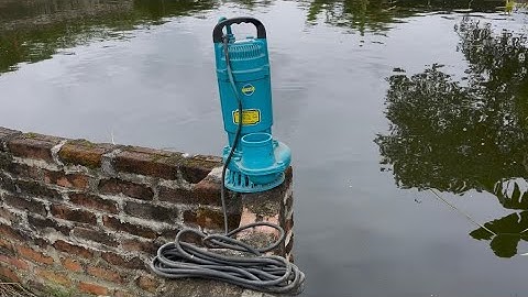 Bơm nước Ắc quy công suất khủng . Điện 48v-72v công suất 1100w . Hoặc chạy trực tiếp Pin Mặt Trời