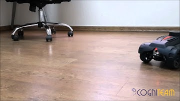 Hamster by CogniTeam