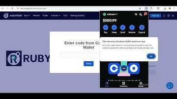 rubypoint.com and other Investment Platforms – Withdrawal Process
