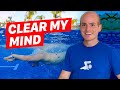 Why I Swim | Physical and Mental Health