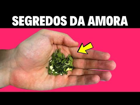 folha-de-amora-para-emagrecer-rÁpido-e-calorão-da-#menopausa