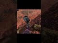 Rastros de porco #thehuntercallofthewild #thehunterbrasil #caça #gameplay #thehunterdiamente