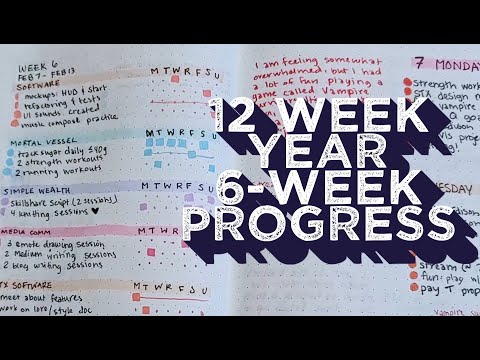 6 Weeks Through the 12 Week Year | Productivity System Update