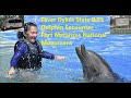 Faver Dykes State Park, Dolphin Encounter, Fort Matanza National Park, Solo Female, Little Guy Max