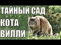 Кот Вилли и Тайный сад