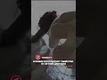 В Семее расследуют убийство 19-летней девушки