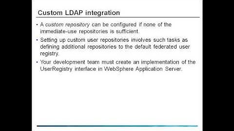 Custom Repository WebSphere Portal