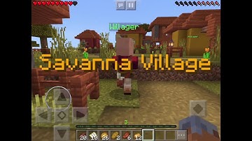 The Savanna Village! | The Traveling Trader Part 3