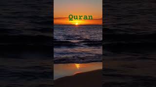 surah ar-Rahman#quran#surah ar rahman with urdu translation #islamic vdo#youtubeshorts #yt shorts