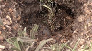 Ttt 2019 Film Trailer Medium 1