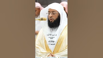 الذين آمنوا يقاتلون في سبيل الله_تلاوة من صلاة الفجر 29 ربيع الاخر 1446هـ_الشيخ بدر التركي_#quran