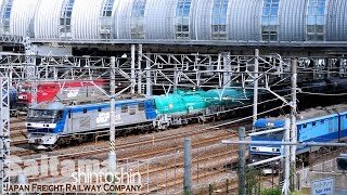 【貨物列車】EF65-2139/EH500-901/EH200-901/EF66 EF210 大宮操車場 さいたま新都心 2019.6.26