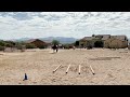 2022 SSC Summer Sizzler Series June: Class 12 Ranch Riding Walk/Jog All Ages