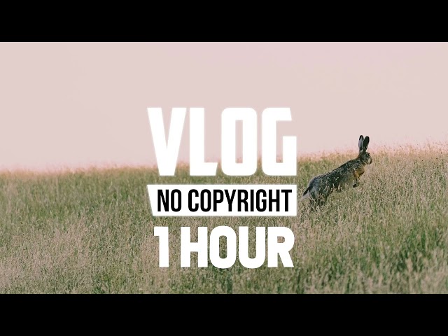 [1 Hour] - Pierse - Freedom (Vlog No Copyright Music) class=