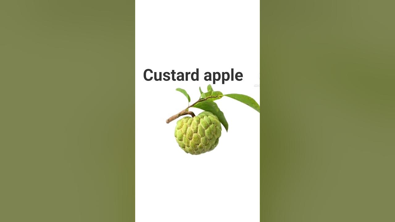 Fruits name in english shorts YouTube