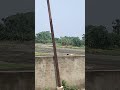 teligi taigal| #folkjanapada #musicgenre #song #shortvideo #musicsong #love