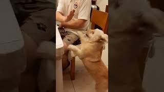 video 76603fba4dd1dd400063e944d9b960b8 V