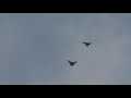 Полет Николаевских голубей