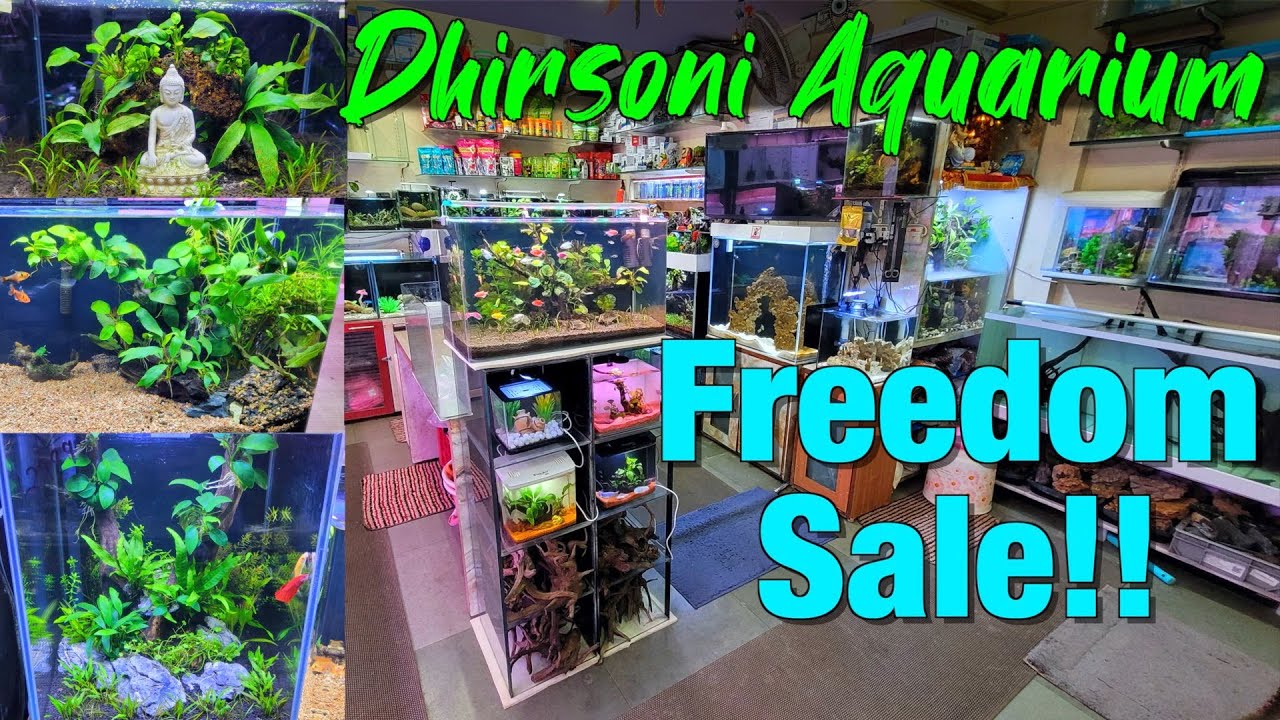 Aquascape Marine Fish Tanks At Dhirsoni Aquarium Pet Store I Aquascape Marine Fish Tanks At Dhirsoni Aquarium Pet Store I