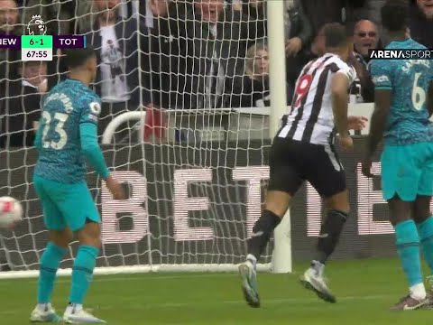 Newcastle Tottenham Goals And Highlights