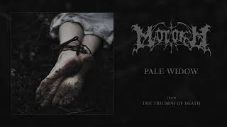 Morokh - Pale Widow (Official Audio)