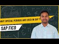 Why Special Periods Are Used in SAP? | SAP FICO Explanation