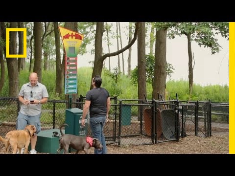 Poop-O-Meter | Crowd Control