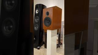 WiiM Amp Sound Test with CSS Torii Speaker