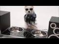 Breakbeats remix 学祭 (ain't no other man , lazy song BM , dreamer bennie becca) edited by mark
