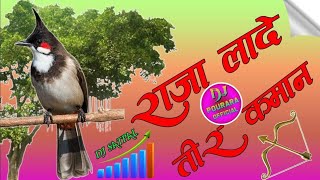 राजा लादे तीर कमान➤Raja Lade Teer Kaman Ped Pe Bulbul Baithi Hai Dj Remix➤Dj Satpal 