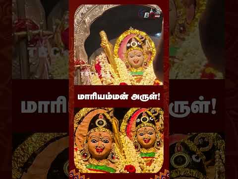 மாரியம்மன் அருள்! #amman #ammanvalipadu #ammanarul #ammansongs #kaliyamman #mariyamman