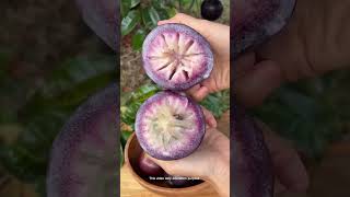 "Exotic Chinese Fruits You’ve Never Seen Before!"